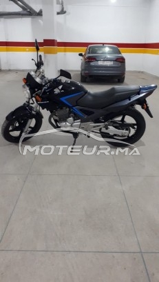 هوندا سبكس Twister 250 مستعملة 1650988