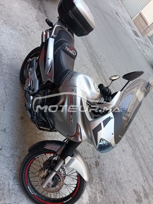 HONDA Autre Transalp 650 occasion 2326379
