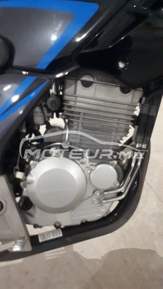 هوندا سبكس Twister 250 مستعملة 1650987