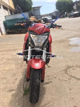 هوندا سب1000ر مستعملة 1639604