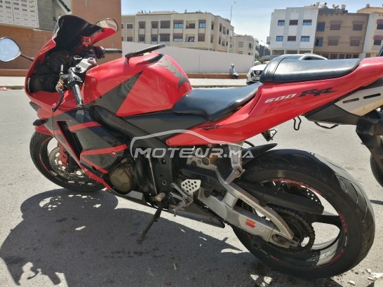 HONDA Cbr 600 rr occasion  1177631