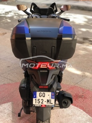 هوندا فورزا-كس مستعملة 2779502