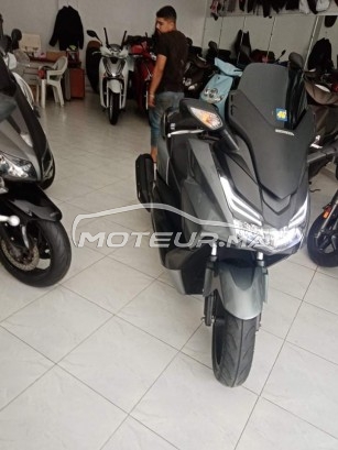 HONDA Forza-x occasion  1255901