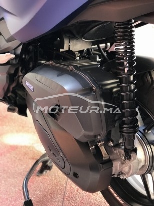 هوندا فورزا-كس مستعملة 2779505