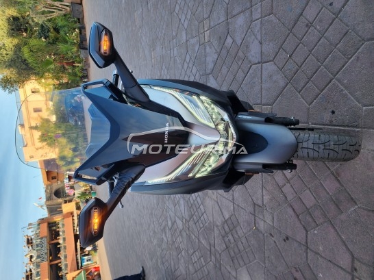 هوندا فورزا-كس Forza 300 مستعملة 1982464