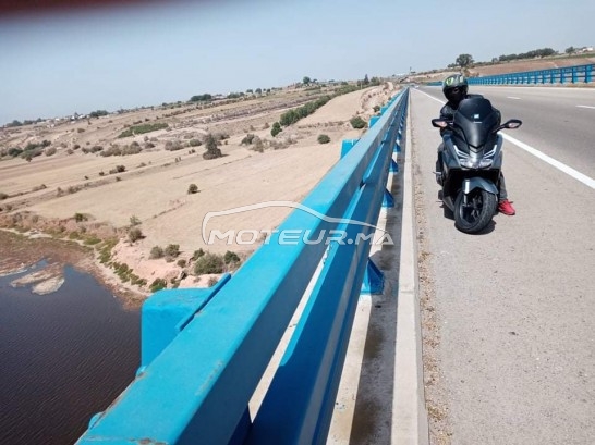 HONDA Forza-x occasion  1255903