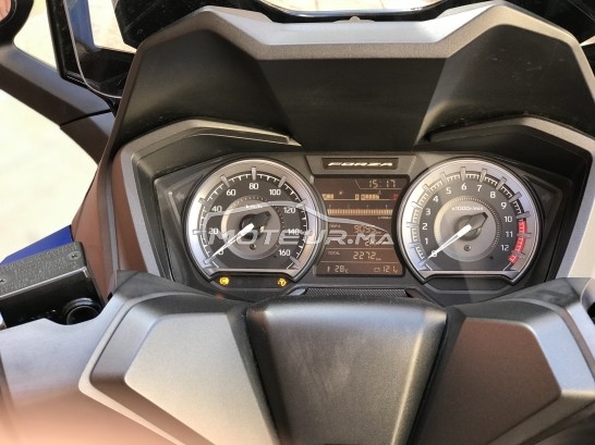 هوندا فورزا-كس مستعملة 2779504