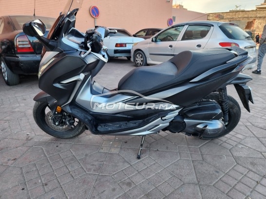 هوندا فورزا-كس Forza 300 مستعملة 1982463