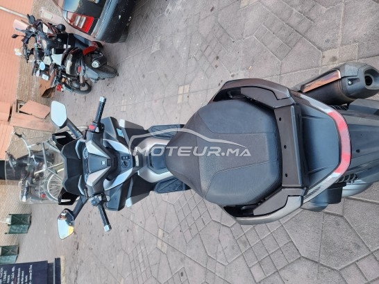 هوندا فورزا-كس Forza 300 مستعملة 1982462