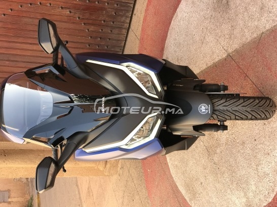 هوندا فورزا-كس مستعملة 2779500