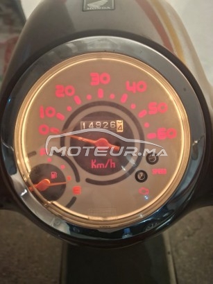 هوندا جوريلا 50 Giorno مستعملة 2961595