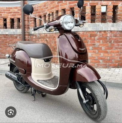 هوندا جوريلا 50 Giorno مستعملة 2962431