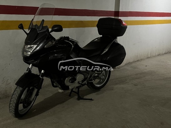 هوندا نت 700 ف دياوفيلي مستعملة 1781994