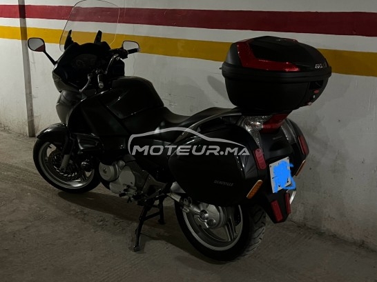 هوندا نت 700 ف دياوفيلي مستعملة 1781995