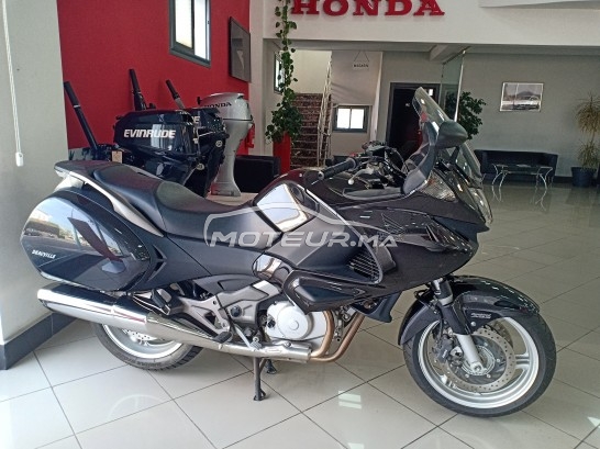 هوندا نت 700 ف دياوفيلي مستعملة 1133033