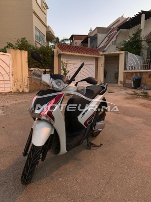 HONDA Sh 125i Sport occasion  1433311
