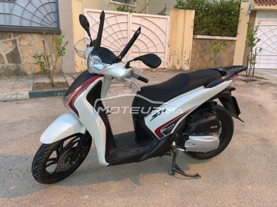 HONDA Sh 125i Sport occasion  1433312