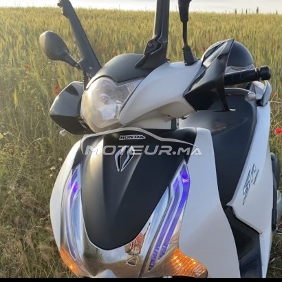 HONDA Sh 125i occasion  1229787