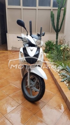 هوندا ش 125ي 2013 مستعملة 2394441