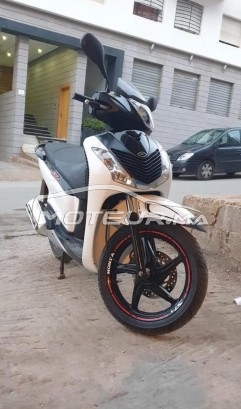 HONDA Sh 125i occasion  1269224