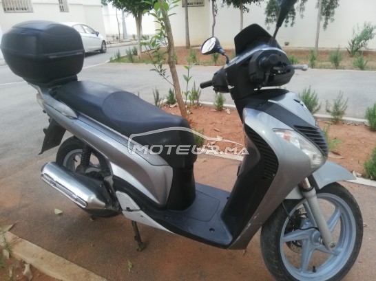 HONDA Sh 125i occasion  1198066