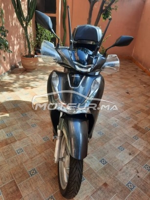 HONDA Sh 150 Smart occasion  1244221