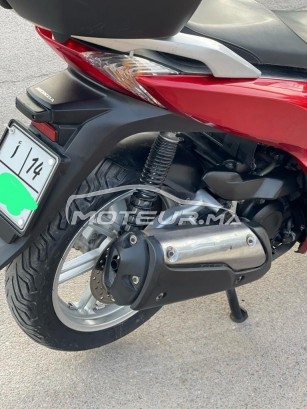 هوندا ش 300ي Smart مستعملة 1794249