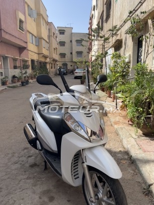 هوندا ش 300ي Robot مستعملة 1675537