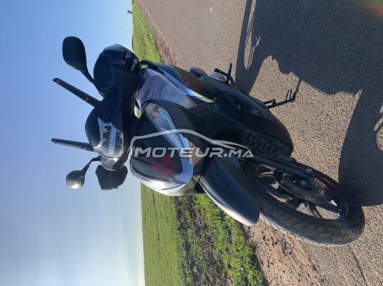 هوندا ش 300ي Smart مستعملة 1606510