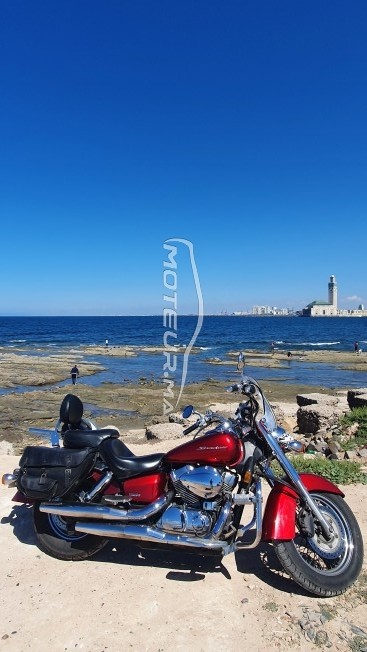 هوندا شادوو ايرو مستعملة 1161359