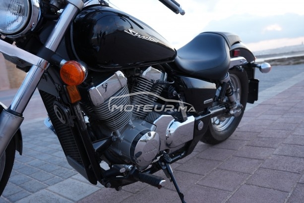 هوندا شادوو إسبيريت 750 مستعملة 1648585