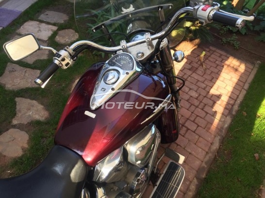 HONDA Vtx 1300 occasion  1154531