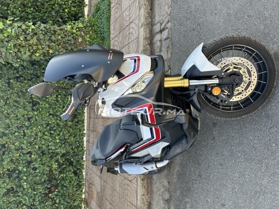 HONDA X adv occasion  1788571