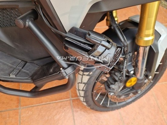 هوندا كس ادف Gris nardo مستعملة 1840499