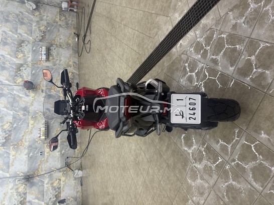 هوندا كس ادف مستعملة 2385739