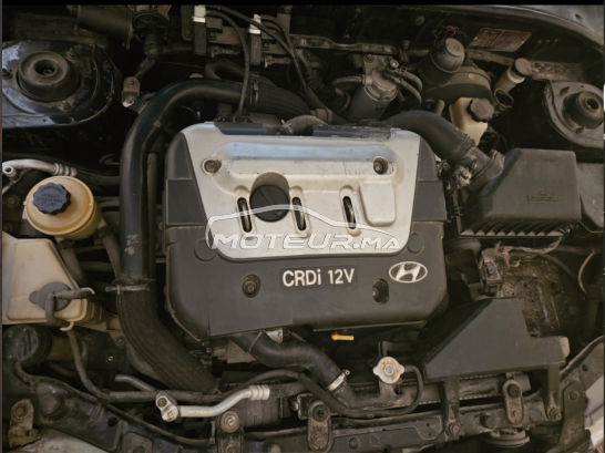 HYUNDAI Accent Crdi occasion 2428187