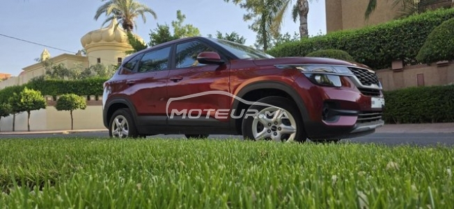 كيا سيلتوس مستعملة 2448318