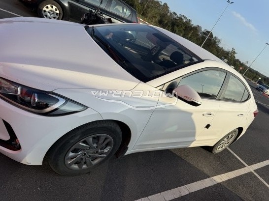HYUNDAI Elantra occasion 2050669