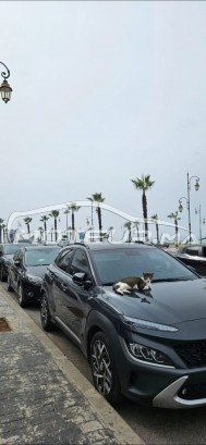 HYUNDAI Kona Luxe bva occasion 3336433