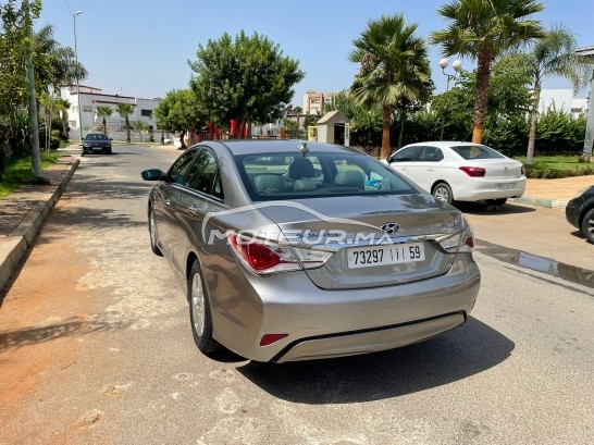 هيونداي سوناتا Hybrid ed مستعملة 1446042