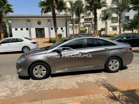 هيونداي سوناتا Hybrid ed مستعملة 1446043