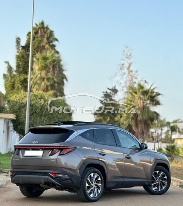 HYUNDAI Tucson Luxe + 2023 occasion 2547773