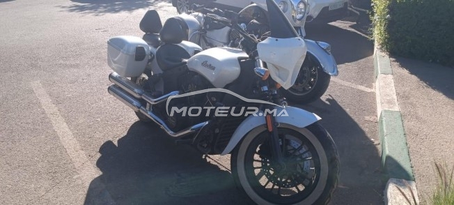 INDIAN Scout Scout sixty occasion  1775788