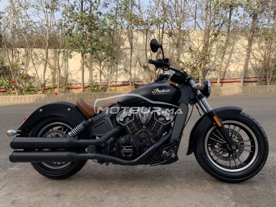 INDIAN Scout 86 occasion  1210701