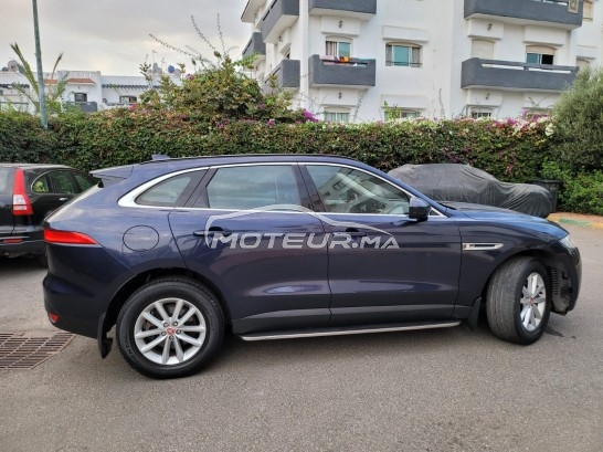 جاكوار ف-بأكي 20d مستعملة 1233834