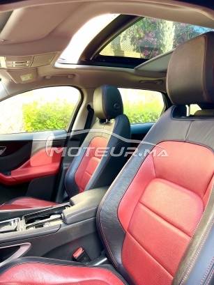 جاكوار ف-بأكي 20d مستعملة 1729705