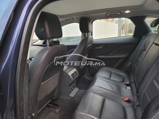 جاكوار ف-بأكي 20d مستعملة 1233830