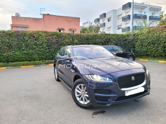 جاكوار ف-بأكي 20d مستعملة 1233835