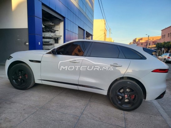 جاكوار ف-بأكي R-sport مستعملة 1539255