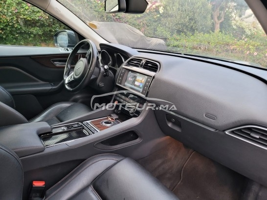 جاكوار ف-بأكي 20d مستعملة 1233837